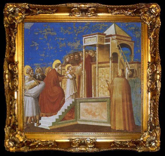 framed  GIOTTO di Bondone Presentation of the Virgin in the Temple, ta009-2
